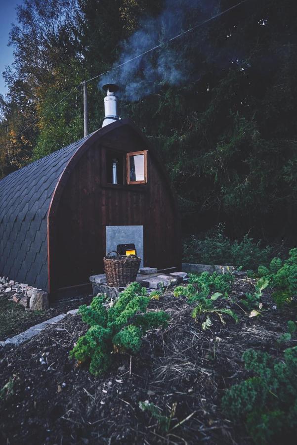 Blickinsfreie - Cabin Schoeneck  Exterior photo